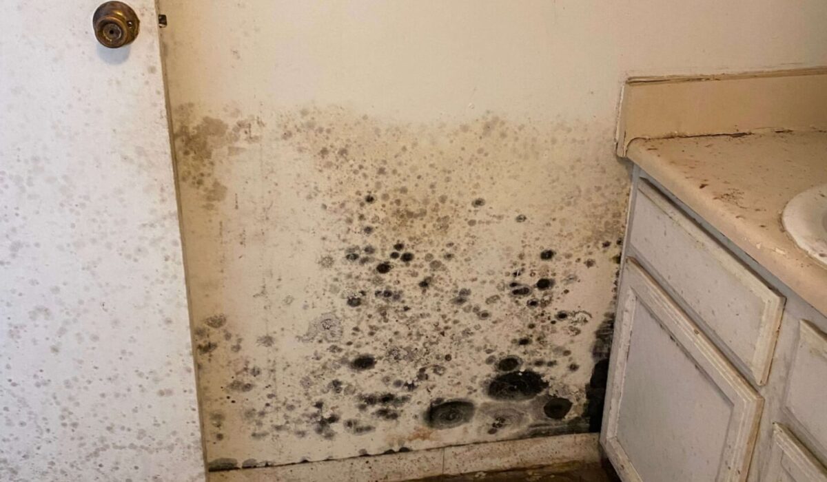 What happens if bathroom waterproofing fails