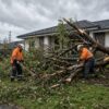 Professional storm damage tree removal after a fallen tree damages a residential garden in Melbourne