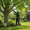 Professional tree pruning service for homeowners in Melbourne