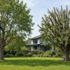 Tree pruning vs tree lopping in Melbourne