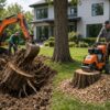 Tree stump removal vs stump grinding in Melbourne