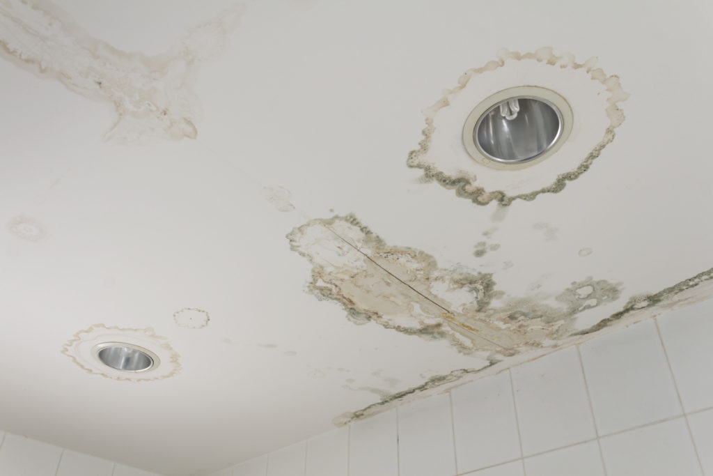 7 signs your bathroom needs waterproofing