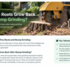 Can Tree Roots Grow Back After Stump Grinding